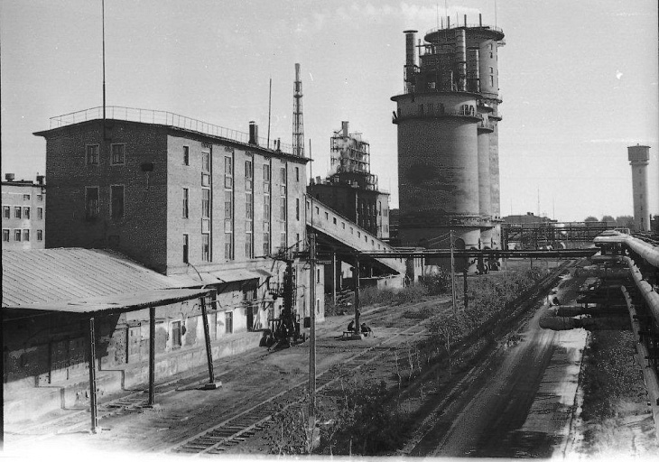 1956 год